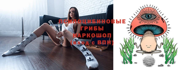 ПСИЛОЦИБИНОВЫЕ ГРИБЫ Вязники