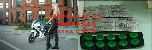 ПСИЛОЦИБИНОВЫЕ ГРИБЫ Вязники