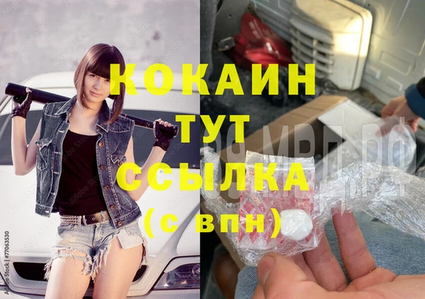 ПСИЛОЦИБИНОВЫЕ ГРИБЫ Вязники