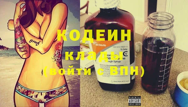 ПСИЛОЦИБИНОВЫЕ ГРИБЫ Вязники