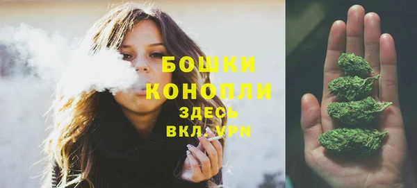 ПСИЛОЦИБИНОВЫЕ ГРИБЫ Вязники