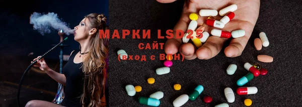 ПСИЛОЦИБИНОВЫЕ ГРИБЫ Вязники