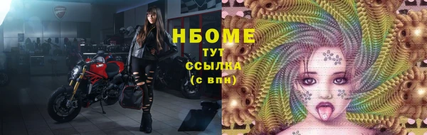 ПСИЛОЦИБИНОВЫЕ ГРИБЫ Вязники
