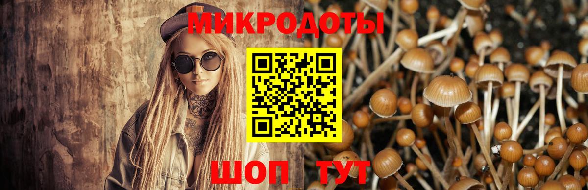 Псилоцибиновые грибы GOLDEN TEACHER  Вход с VPN  хочу   Арзамас 